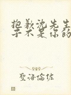 抱歉沈先生,孩子不是你的短剧免费看
