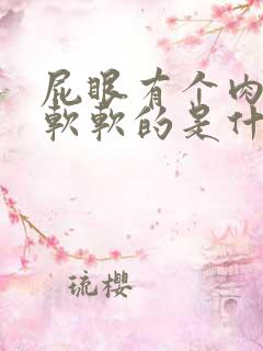 屁眼有个肉疙瘩软软的是什么