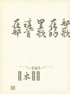 在这里在哪里是哪首歌的歌词