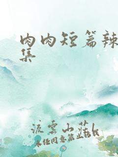 肉肉短篇辣文合集 肉肉短篇辣文合集