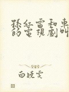 孙红雷和车晓演的电视剧叫什么名字