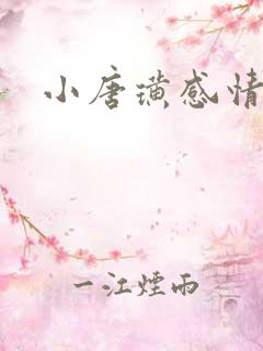 小唐璜感情 史