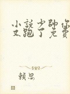 小说少帅你老婆又跑了免费
