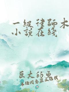 一级律师木苏里小说在线