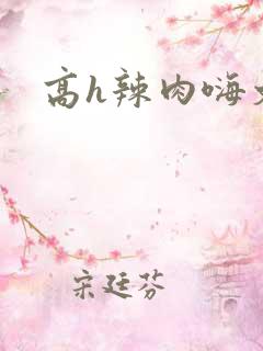 高h辣肉嗨文