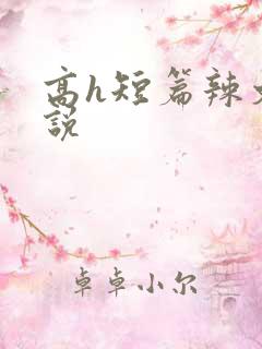 高h短篇辣文小说