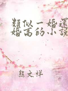 类似一婚还比一婚高的小说