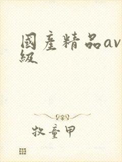 国产精品av一级