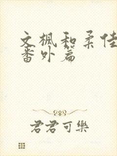 文枫和柔佳婚后番外篇