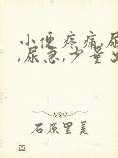小便疼痛,尿频,尿急,少量出血