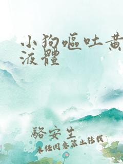 小狗呕吐黄粘稠液体