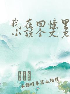 我在回忆里等你小说全文免费阅读