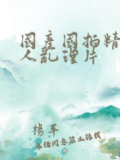 国产国拍精品成人乱理片
