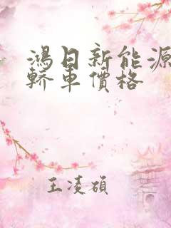 鸿日新能源电动轿车价格