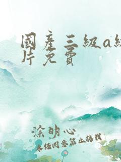 国产三级a级一片免费