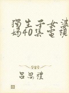 独生子女婆婆妈妈40集电视剧