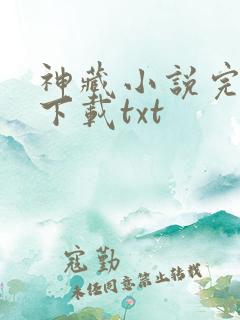 神藏小说完整版下载txt 神藏小说完整版下载txt