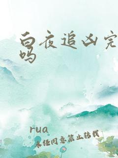 白夜追凶完结了吗