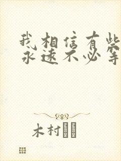 我相信有些人我永远不必等是什么歌