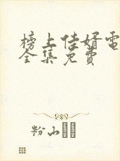 榜上佳婿电视剧全集免费