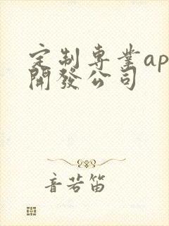 定制专业app开发公司 定制专业app开发公司