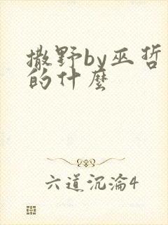 撒野by巫哲讲的什么