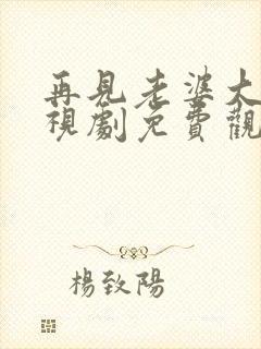 再见老婆大人电视剧免费观看全集