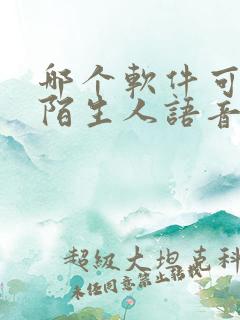 哪个软件可以和陌生人语音聊天