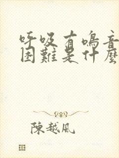呼吸有鸣音呼吸困难是什么病