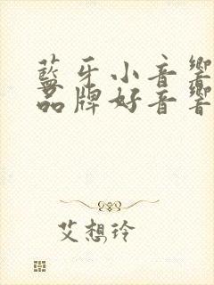 蓝牙小音响哪个品牌好音响效果好
