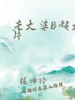 老大婆B超大图片