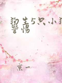 狗生5只小狗要警惕