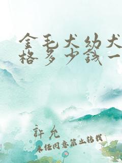 金毛犬幼犬的价格多少钱一只