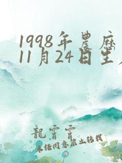 1998年农历11月24日生辰八字
