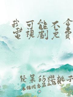 我可能不会爱你电视剧免费观看