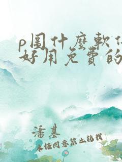 p图什么软件最好用免费的