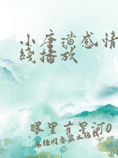 小唐璜感情史在线播放