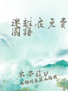 迷离夜免费播放国语