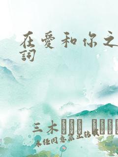 在爱和你之间歌词