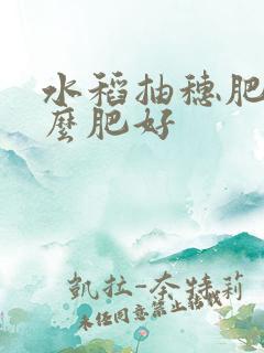 水稻抽穗肥用什么肥好