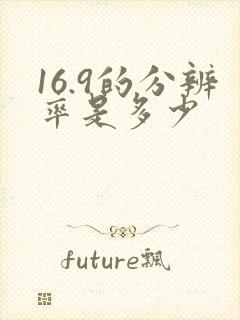 16.9的分辨率是多少