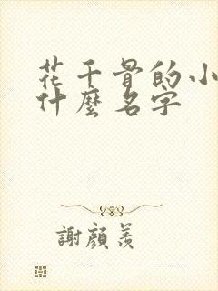 花千骨的小说叫什么名字
