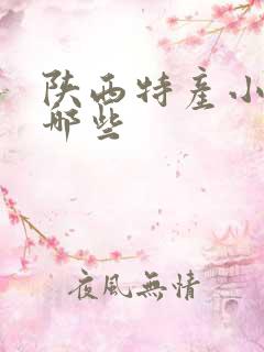 陕西特产小吃有哪些