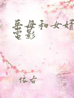 岳母和女婿韩国电影