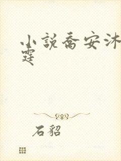 小说乔安沐霍云霆