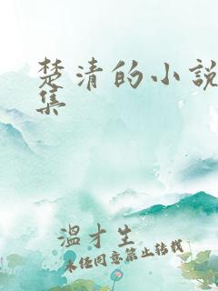 楚清的小说作品集 楚清的小说作品集