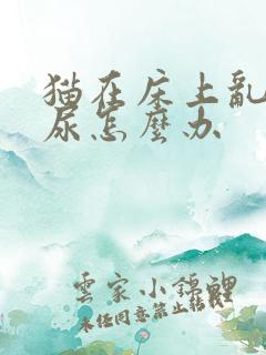 猫在床上乱拉乱尿怎么办