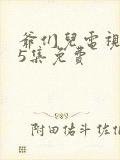 爷们儿电视剧45集免费