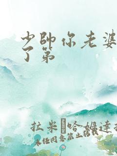 少帅你老婆又跑了第