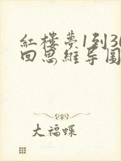 红楼梦1到30回思维导图